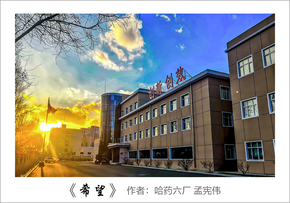 【迎國慶 展風(fēng)采】我眼中的哈藥——職工攝影大賽作品展示！